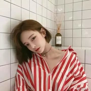 长颈鹿扎拉法